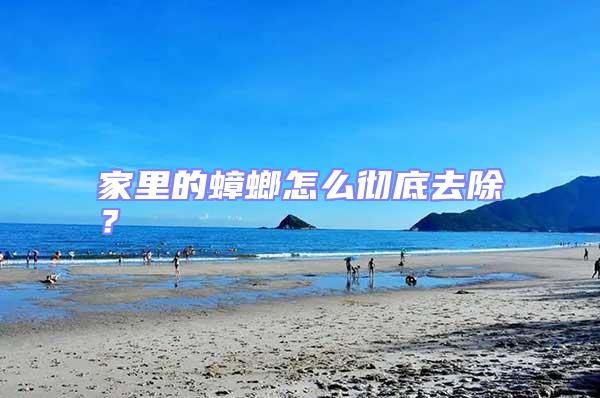 家里的蟑螂怎么徹底去除？