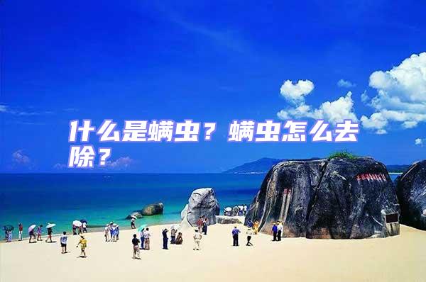 什么是螨蟲?螨蟲怎么去除?