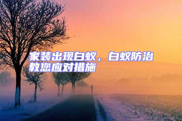 家裝出現白蟻，白蟻防治教您應對措施