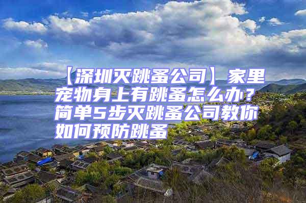 【深圳滅跳蚤公司】家里寵物身上有跳蚤怎么辦?簡(jiǎn)單5步滅跳蚤公司教你如何預(yù)防跳蚤
