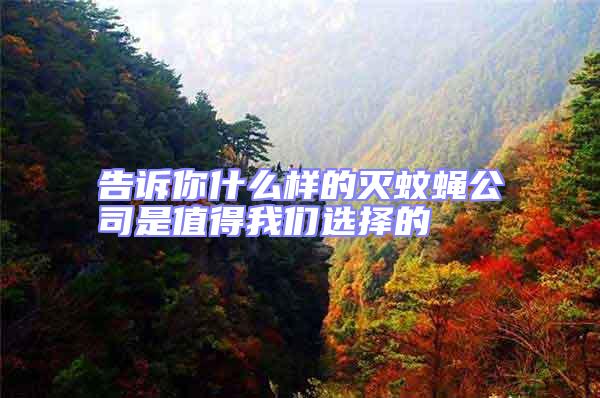 告訴你什么樣的滅蚊蠅公司是值得我們選擇的