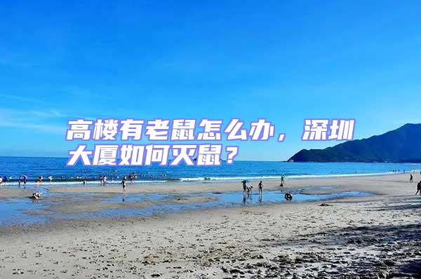 高樓有老鼠怎么辦,深圳大廈如何滅鼠?