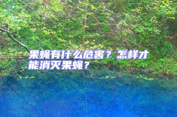 果蠅有什么危害？怎樣才能消滅果蠅？