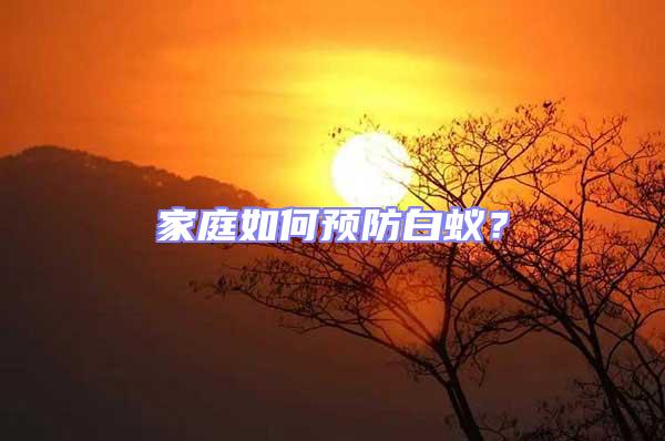 家庭如何預(yù)防白蟻?