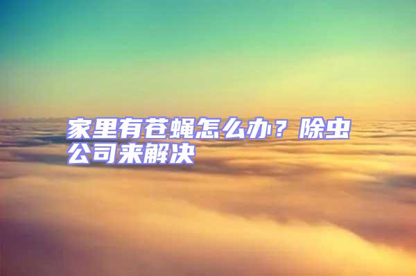 家里有蒼蠅怎么辦？除蟲公司來解決