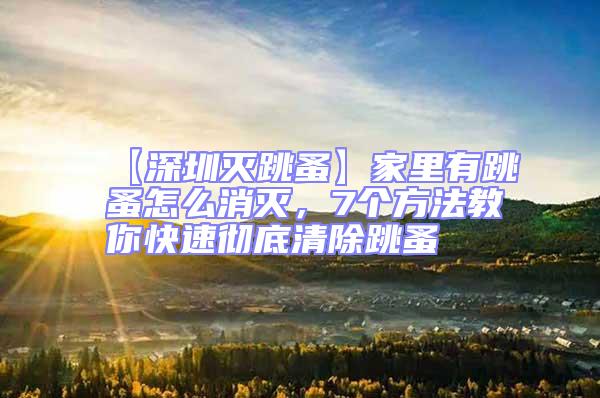 【深圳滅跳蚤】家里有跳蚤怎么消滅,7個(gè)方法教你快速徹底清除跳蚤