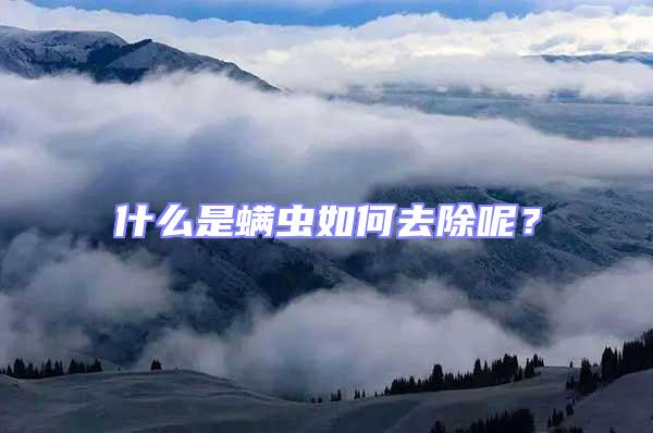 什么是螨蟲如何去除呢？