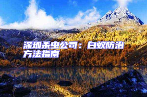 深圳殺蟲公司:白蟻防治方法指南