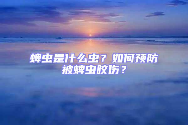 蜱蟲是什么蟲？如何預防被蜱蟲咬傷？