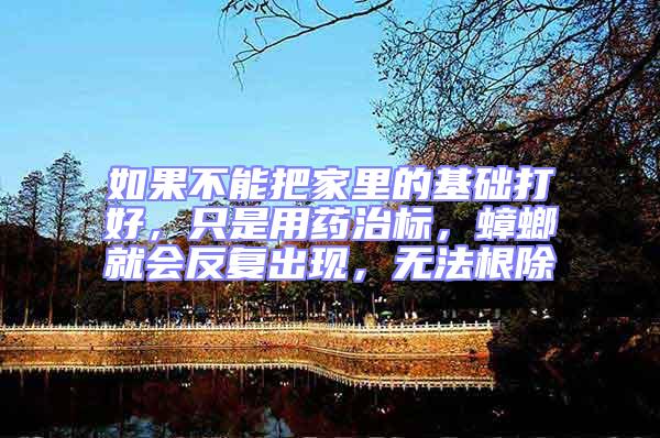 如果不能把家里的基礎(chǔ)打好,只是用藥治標(biāo),蟑螂就會(huì)反復(fù)出現(xiàn),無(wú)法根除