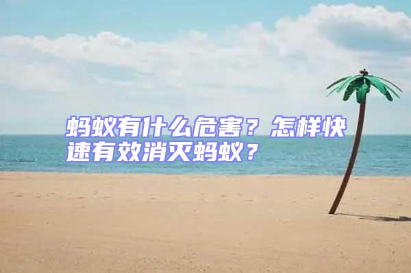 螞蟻有什么危害?怎樣快速有效消滅螞蟻?