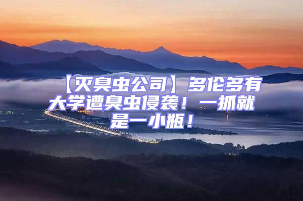 【滅臭蟲公司】多倫多有大學(xué)遭臭蟲侵襲!一抓就是一小瓶!