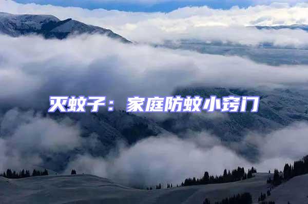 滅蚊子:家庭防蚊小竅門