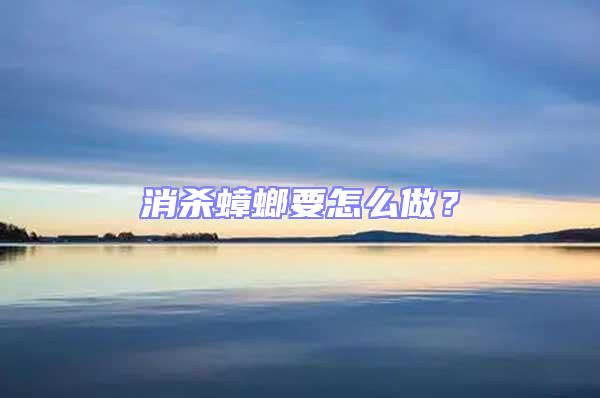 消殺蟑螂要怎么做？