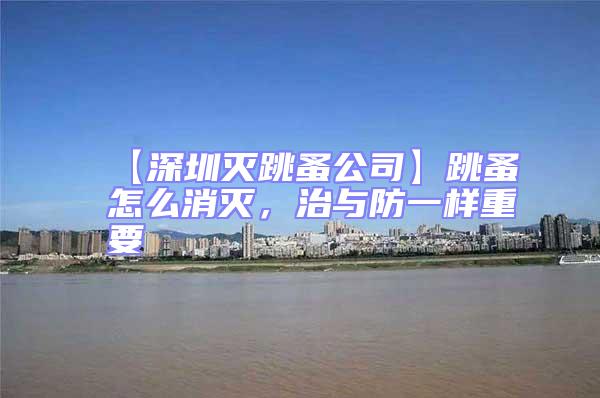 【深圳滅跳蚤公司】跳蚤怎么消滅，治與防一樣重要