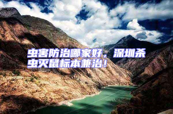 蟲害防治哪家好，深圳殺蟲滅鼠標本兼治！