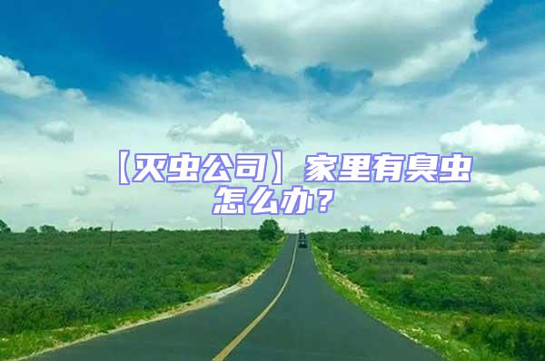 【滅蟲公司】家里有臭蟲怎么辦?