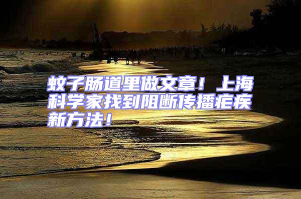 蚊子腸道里做文章!上海科學家找到阻斷傳播瘧疾新方法!