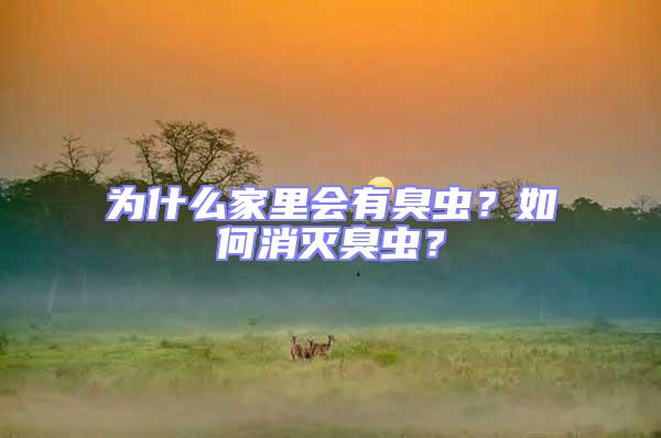 為什么家里會(huì)有臭蟲?如何消滅臭蟲?