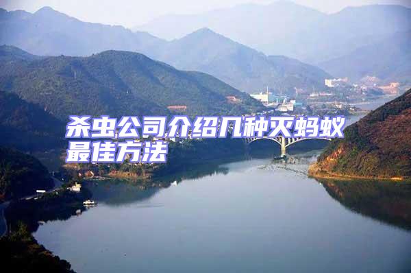 殺蟲公司介紹幾種滅螞蟻最佳方法