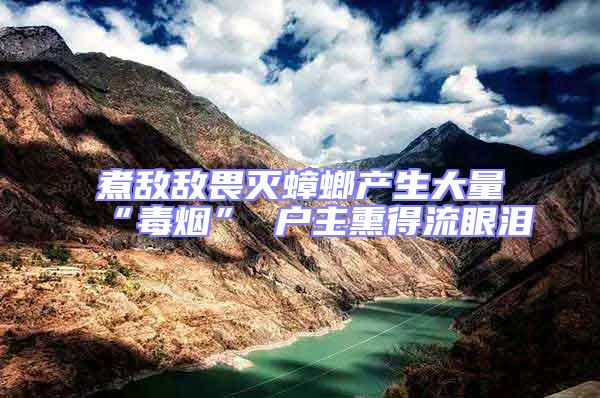 煮敵敵畏滅蟑螂產(chǎn)生大量“毒煙” 戶主熏得流眼淚