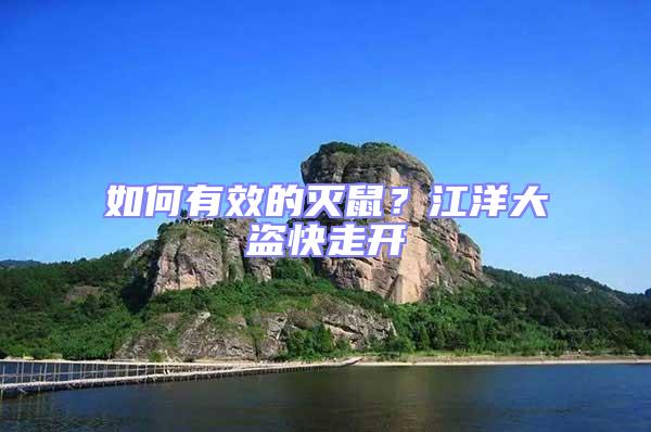 如何有效的滅鼠?江洋大盜快走開