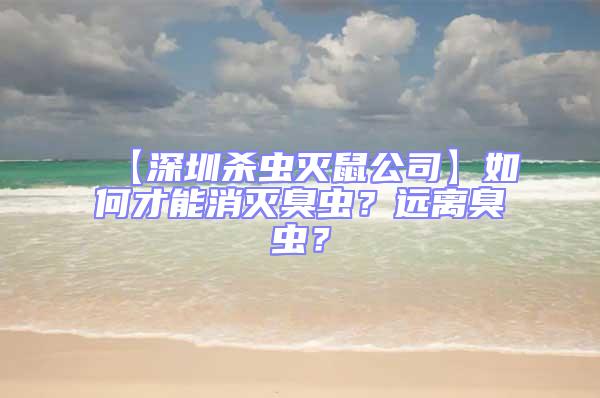 【深圳殺蟲滅鼠公司】如何才能消滅臭蟲？遠離臭蟲？