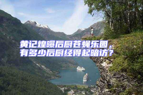 黃記煌曝后廚蒼蠅樂園， 有多少后廚經得起暗訪？