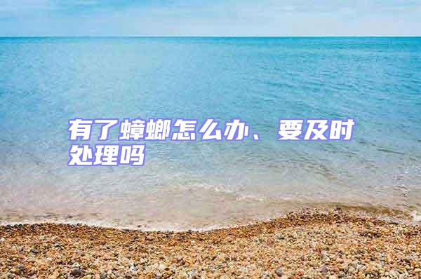 有了蟑螂怎么辦、要及時(shí)處理嗎
