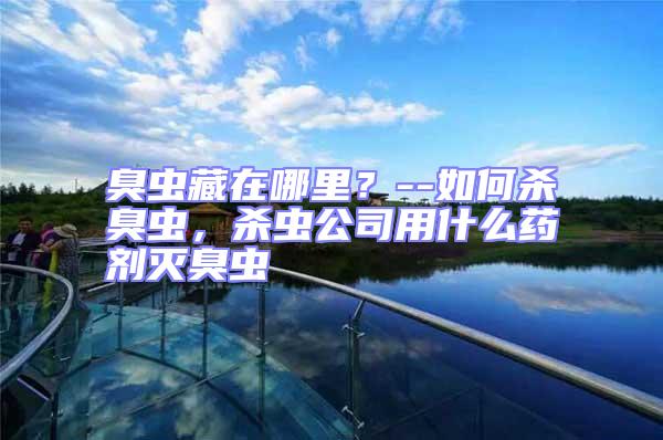 臭蟲藏在哪里?--如何殺臭蟲,殺蟲公司用什么藥劑滅臭蟲
