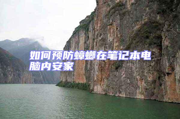 如何預(yù)防蟑螂在筆記本電腦內(nèi)安家