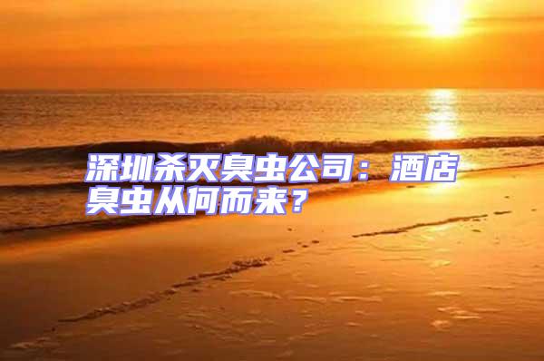 深圳殺滅臭蟲公司:酒店臭蟲從何而來?