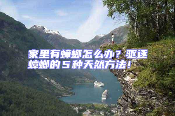 家里有蟑螂怎么辦?驅(qū)逐蟑螂的5種天然方法!