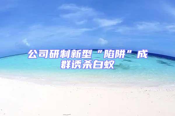 公司研制新型“陷阱”成群誘殺白蟻