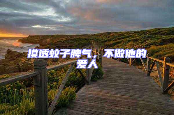 摸透蚊子脾氣,不做他的愛(ài)人