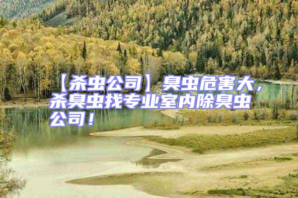 【殺蟲公司】臭蟲危害大,殺臭蟲找專業(yè)室內(nèi)除臭蟲公司!