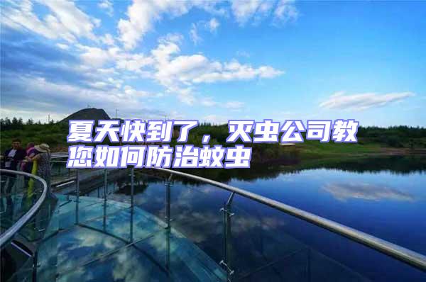 夏天快到了，滅蟲公司教您如何防治蚊蟲