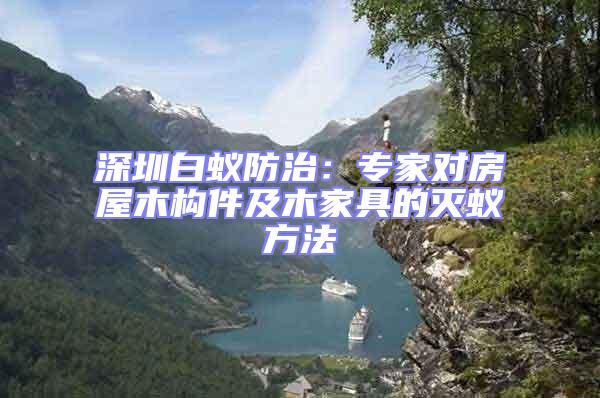 深圳白蟻防治:專家對房屋木構件及木家具的滅蟻方法