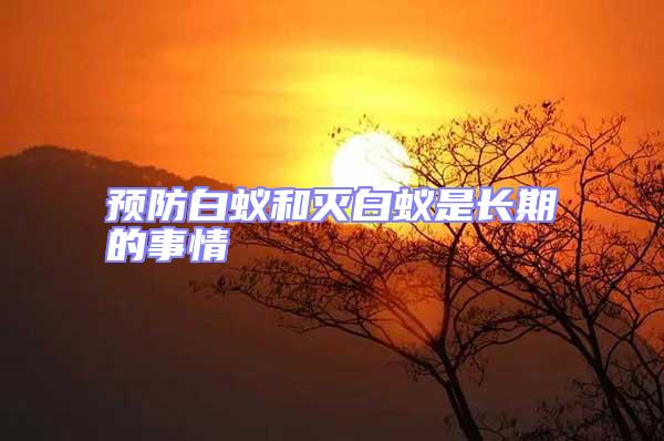 預防白蟻和滅白蟻是長期的事情