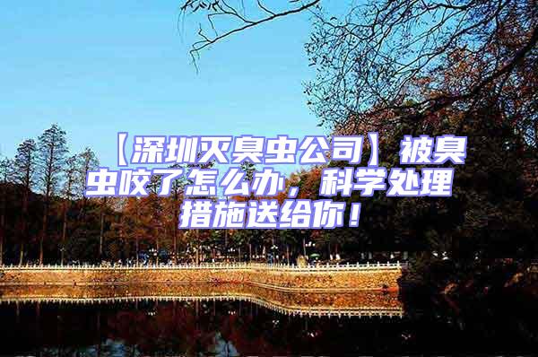 【深圳滅臭蟲公司】被臭蟲咬了怎么辦，科學(xué)處理措施送給你！