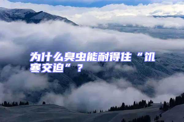 為什么臭蟲能耐得住“饑寒交迫”？