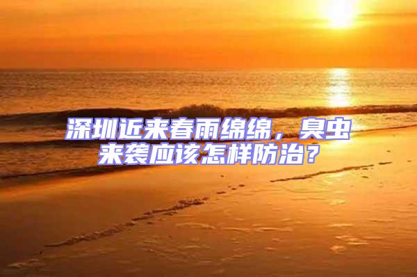 深圳近來春雨綿綿,臭蟲來襲應該怎樣防治?