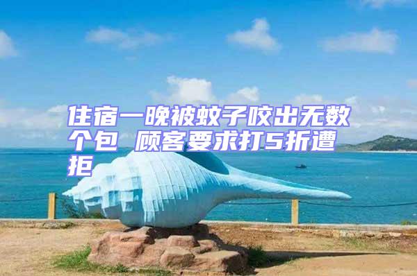 住宿一晚被蚊子咬出無數個包 顧客要求打5折遭拒