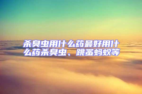 殺臭蟲用什么藥最好用什么藥殺臭蟲、跳蚤螞蟻等