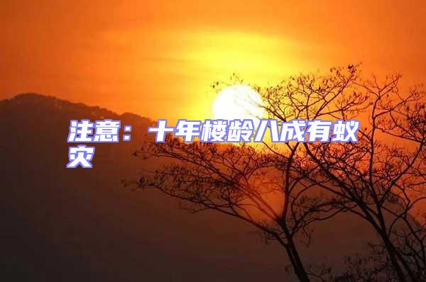 注意:十年樓齡八成有蟻災(zāi)