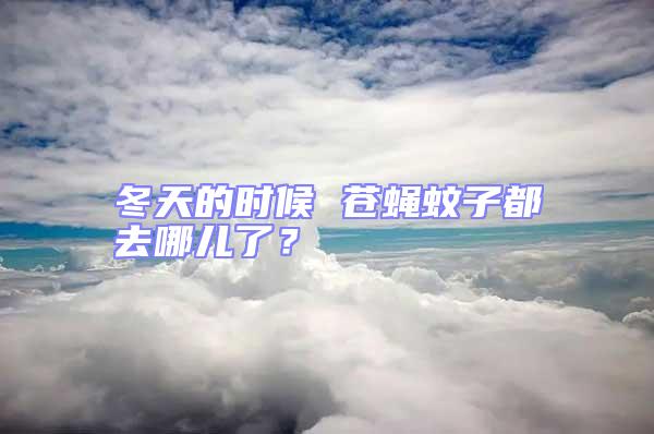 冬天的時(shí)候 蒼蠅蚊子都去哪兒了？