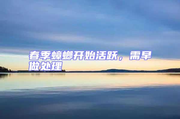 春季蟑螂開始活躍,需早做處理