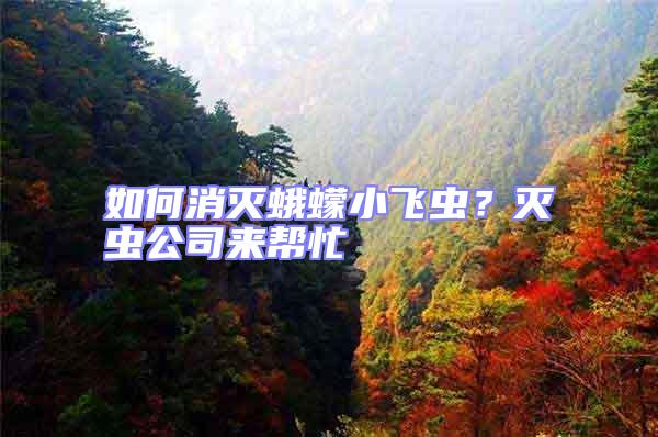 如何消滅蛾蠓小飛蟲?滅蟲公司來幫忙