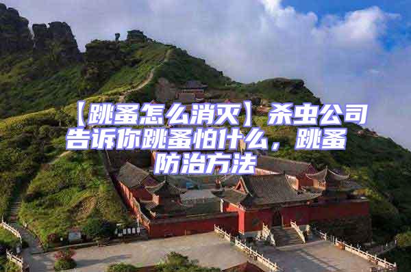 【跳蚤怎么消滅】殺蟲(chóng)公司告訴你跳蚤怕什么,跳蚤防治方法