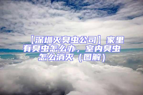 【深圳滅臭蟲公司】家里有臭蟲怎么辦，室內(nèi)臭蟲怎么消滅（圖解）